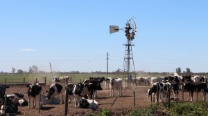 Lee más sobre el artículo La provincia recuerda la vigencia de la línea de financiamiento de reactivación productiva para productores agropecuarios