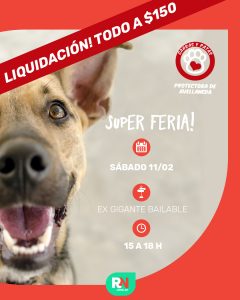 Lee más sobre el artículo Super Feria Liquidación organizada por la protectora Garras y Patas