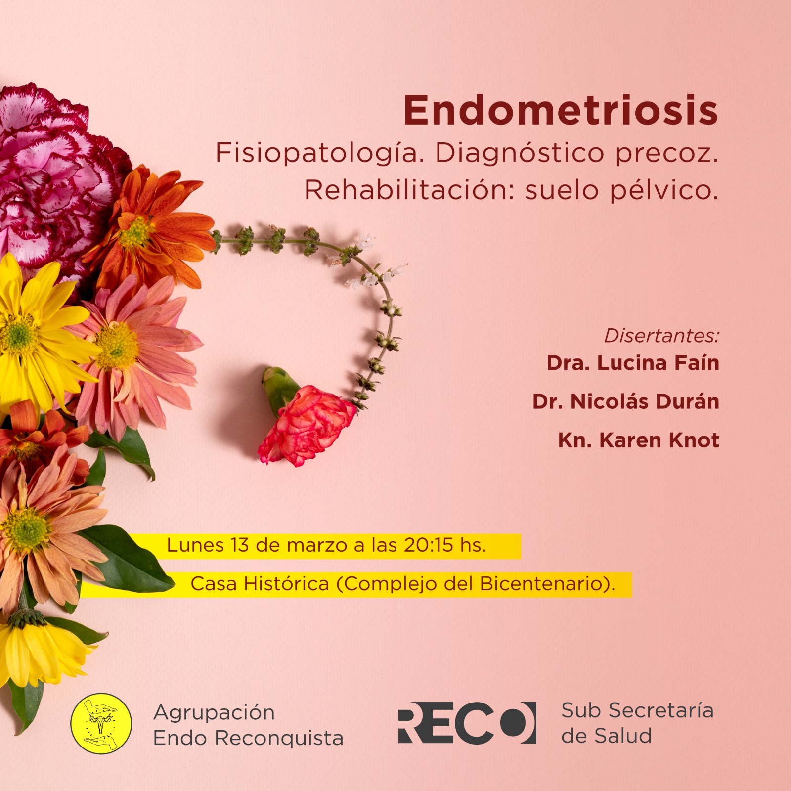 Conversatorio sobre Endometriosis
