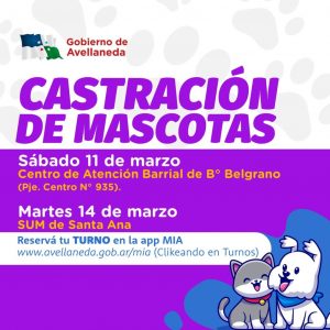 Lee más sobre el artículo Tenencia responsable de mascotas en Avellaneda: continúan las castraciones