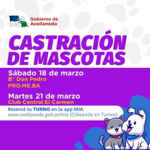 Lee más sobre el artículo Cuidá a tus mascotas, sacá turnos on line para castrarlos
