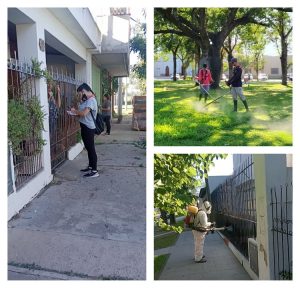 Lee más sobre el artículo Dengue: Avellaneda refuerza los operativos de cortes de pasto, desmalezado y visitas de promotores sanitarios