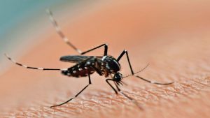 El Ministerio de Salud actualizó la cantidad de casos de dengue en la provincia