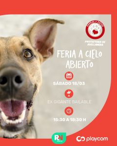 Lee más sobre el artículo Feria a Cielo Abierto