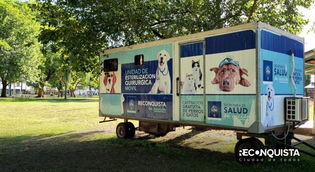 El servicio de castración para mascotas se traslada el CIC de Lanceros del Sauce