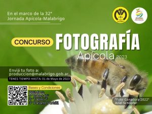 Lee más sobre el artículo ¿Te gusta la fotografía? no te pierdas esta gran oportunidad