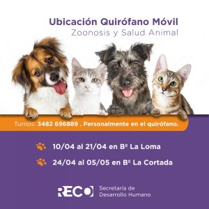 Lee más sobre el artículo QUIRÓFANO MÓVIL EN LA LOMA Y LA CORTADA