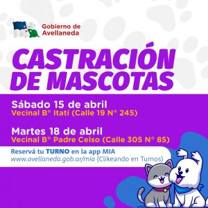Lee más sobre el artículo CUIDÁ A TUS MASCOTAS, SACÁ TURNOS ON LINE PARA CASTRARLOS