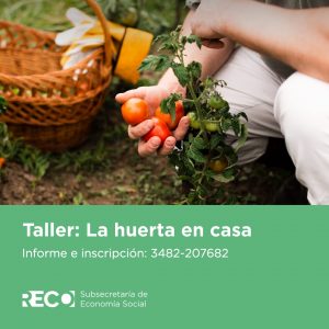 Lee más sobre el artículo Taller La huerta en casa