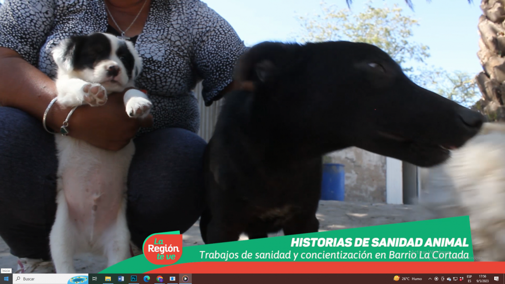La región Te Ve acompaña a la Asociación Protectora de Animales Reconquista