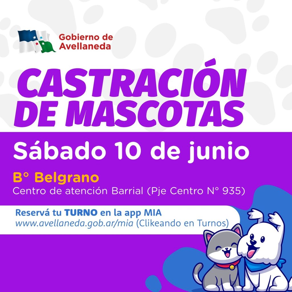 Lee más sobre el artículo Castración de mascotas: este sábado, llega a B° Belgrano