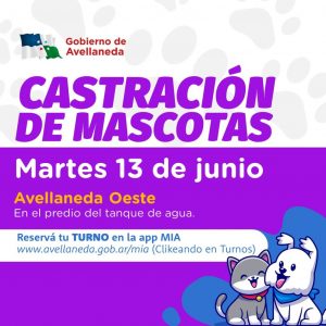 Lee más sobre el artículo Castración de mascotas: hoy, en Avellaneda Oeste