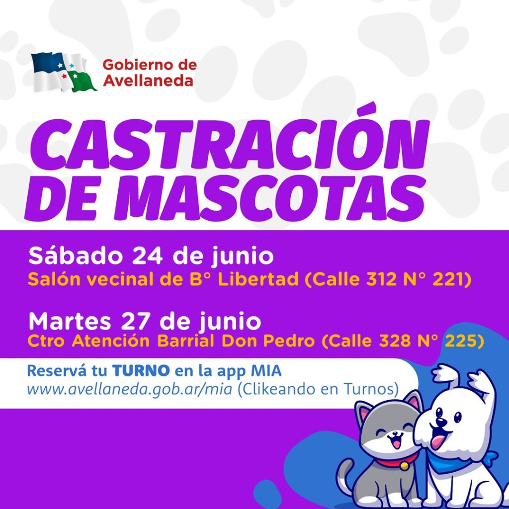 Lee más sobre el artículo Ya se habilitaron los turnos para castración de mascotas en Avellaneda
