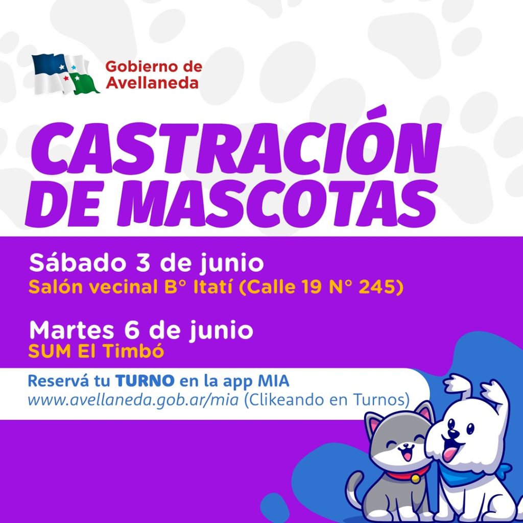 Castración de mascotas: Este sábado, llega a B° Itatí