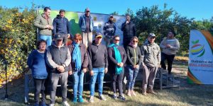 Lee más sobre el artículo Fiesta Provincial del Citrus: Ganadores del Concurso de Despoje 2023