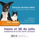 Bienestar animal: Quirófano móvil en el barrio Lanceros hasta el 28 de julio