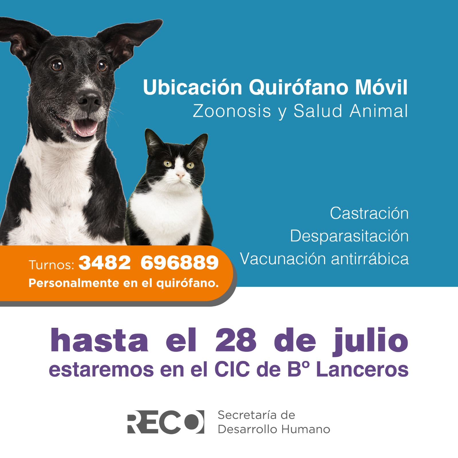 Lee más sobre el artículo Bienestar animal: Quirófano móvil en el barrio Lanceros hasta el 28 de julio