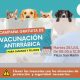Jornada de vacunación antirrábica en Malabrigo