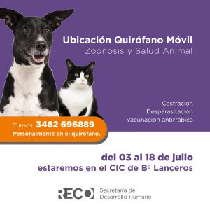 Lee más sobre el artículo Bienestar animal: Quirófano móvil en el barrio Lanceros