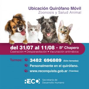 Lee más sobre el artículo Bienestar animal: Quirófano móvil en el barrio Chapero