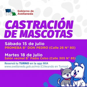 Lee más sobre el artículo Castración de mascotas: Ya se encuentran habilitados los turnos on line