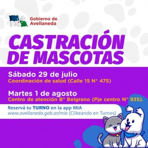 Lee más sobre el artículo CASTRACIÓN DE MASCOTAS EN AVELLANEDA: OBTENÉ TUS TURNOS ON LINE