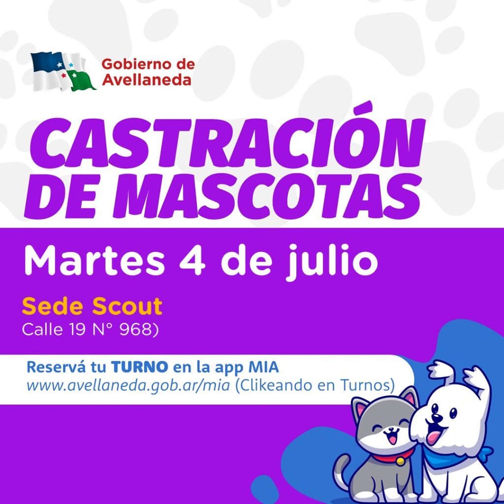 Lee más sobre el artículo Castración de mascotas en Avellaneda: hoy, en la sede de Scouts