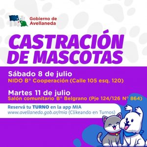 Lee más sobre el artículo “Mascotas sanas, familias felices” en Avellaneda: conocé los días y horarios de castración y vacunación antirrábica