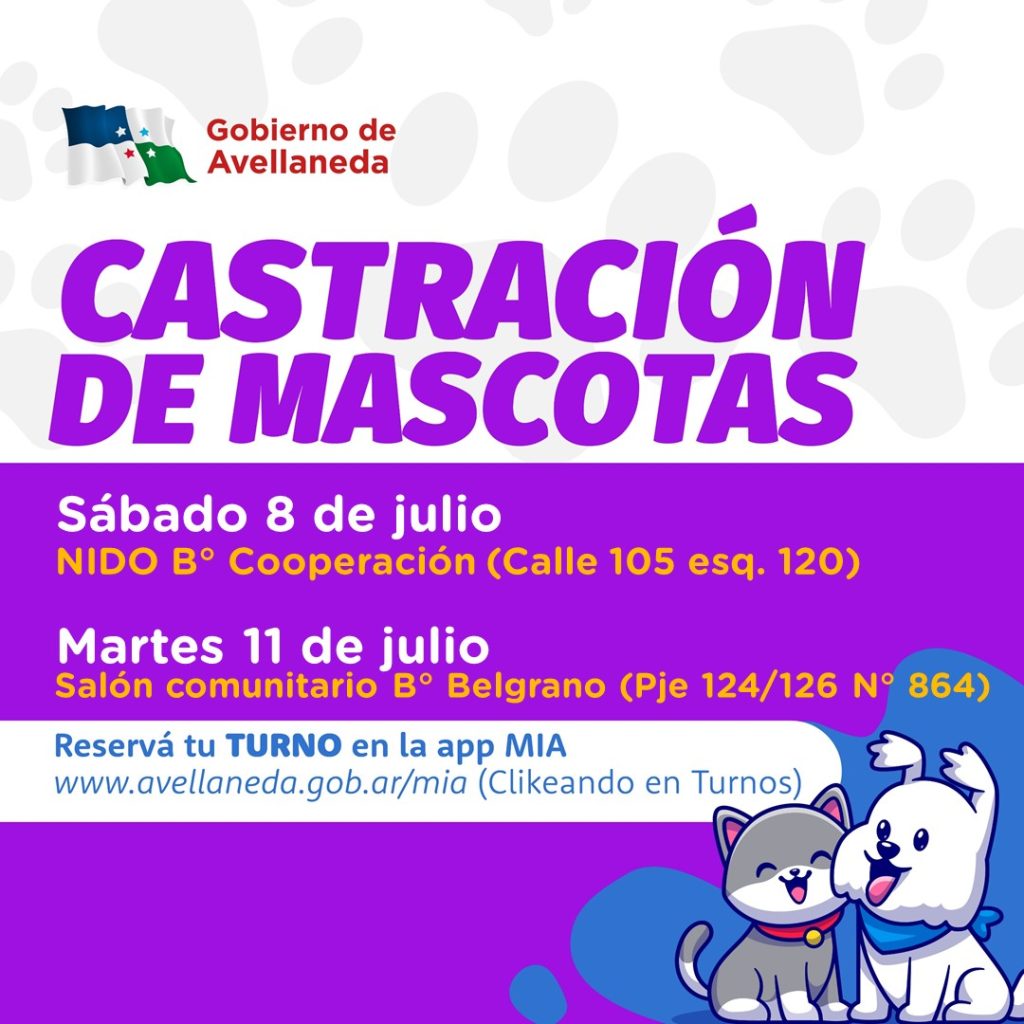 Lee más sobre el artículo “Mascotas sanas, familias felices” en Avellaneda: conocé los días y horarios de castración y vacunación antirrábica