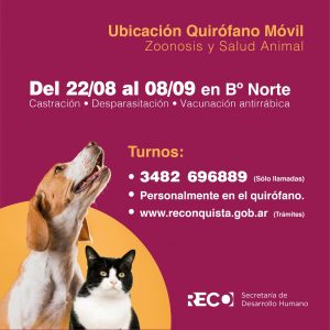 Lee más sobre el artículo Bienestar animal: Quirófano móvil en el barrio Norte