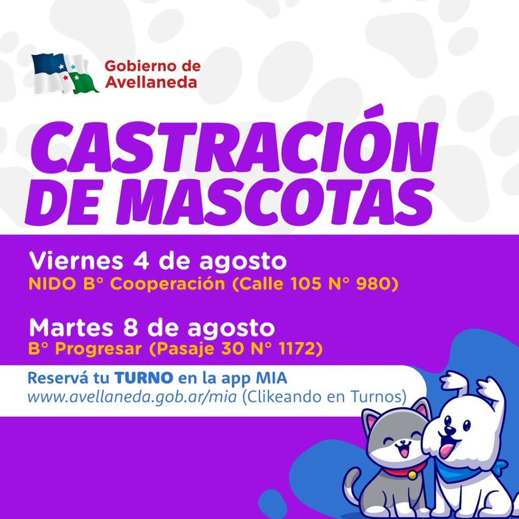 Lee más sobre el artículo Castración de mascotas en Avellaneda: Reservá tus turnos on line