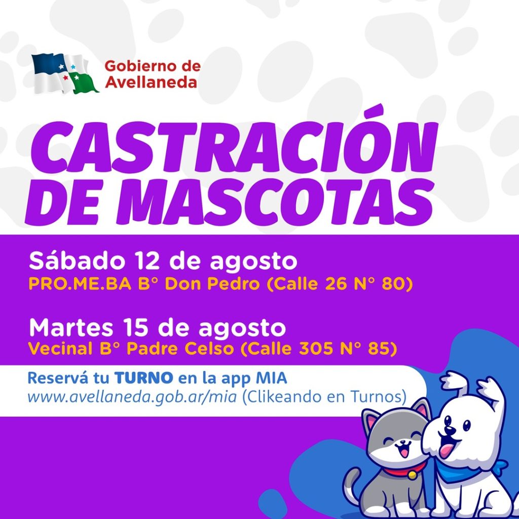 Lee más sobre el artículo Castración de mascotas en Avellaneda: No olvides reservar tus turnos