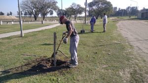 Lee más sobre el artículo Espacios verdes en Avellaneda: Avanza la plantación de 5000 árboles