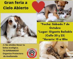 Lee más sobre el artículo Gran Feria a Cielo Abierto organizada por la Protectoras Garras y Patas