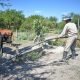 Emergencia Agropecuaria: la Provincia inicia la inscripción para una nueva asistencia económica a pequeños productores