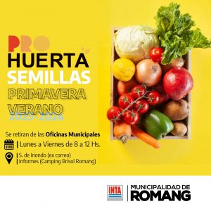 Lee más sobre el artículo Entrega de semillas del programa PRO HUERTA