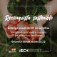 Sembrando juntos: comienza la entrega gratuita de kit de semillas en Reconquista