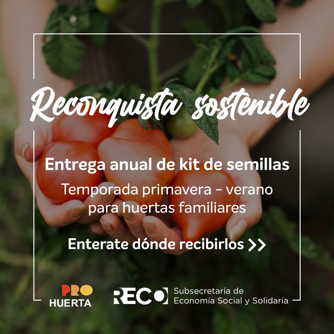 Lee más sobre el artículo Sembrando juntos: comienza la entrega gratuita de kit de semillas en Reconquista
