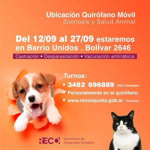 Lee más sobre el artículo Bienestar animal: Quirófano móvil en el barrio Unidos