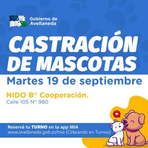 Lee más sobre el artículo Castración de mascotas: Turnos disponibles para intervenciones en B° Cooperación
