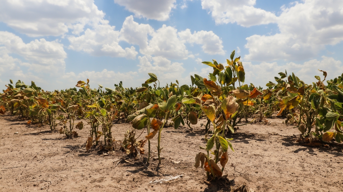 Lee más sobre el artículo La provincia abre nuevamente la reinscripción para productores con certificado de Emergencia Agropecuaria afectados por la sequía