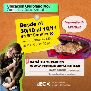 Lee más sobre el artículo Bienestar animal: Quirófano móvil en barrio Sarmiento