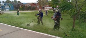 Lee más sobre el artículo Acciones y servicios