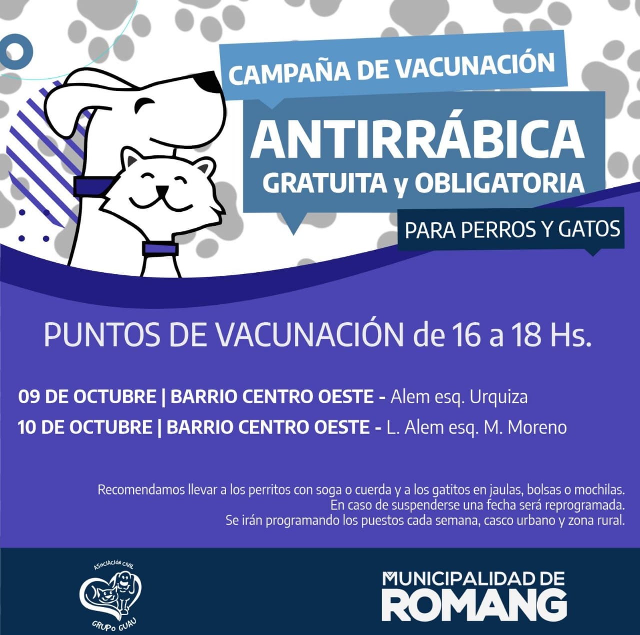 Lee más sobre el artículo Vacunación Antirrábica en Romang