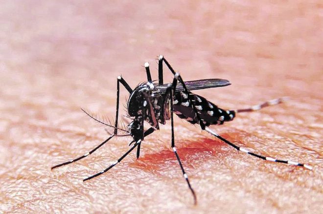 Lee más sobre el artículo Recomendaciones ante los casos de dengue en la provincia de Santa Fe