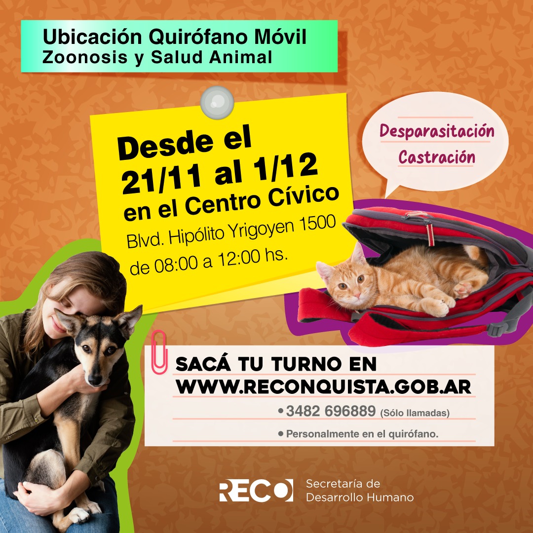 Lee más sobre el artículo Importante Servicio de Salud Animal en Reconquista: Quirófano Móvil en el Centro Cívico