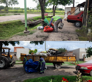 Lee más sobre el artículo Avellaneda Refuerza Acciones Estratégicas para Prevenir el Dengue