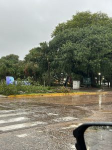 Lee más sobre el artículo Comité de Protección Civil de Reconquista informa sobre acciones tras temporal