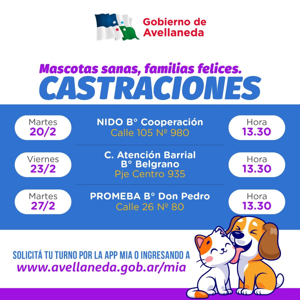 Habilitado el turnero para castración de mascotas en Avellaneda