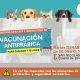 Campaña de vacunación Antirrábica en Malabrigo